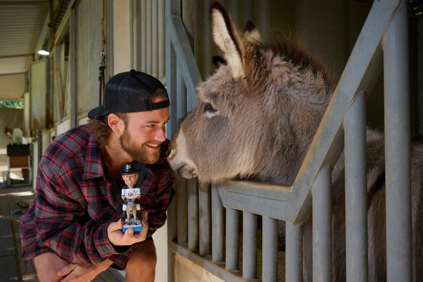 San Diego Gulls hockey captain Chase De Leo shows his pet donkey, Hansel, their bobblehead which will be given away Saturday at Pechanga Arena before a game against the Iowa Wild.