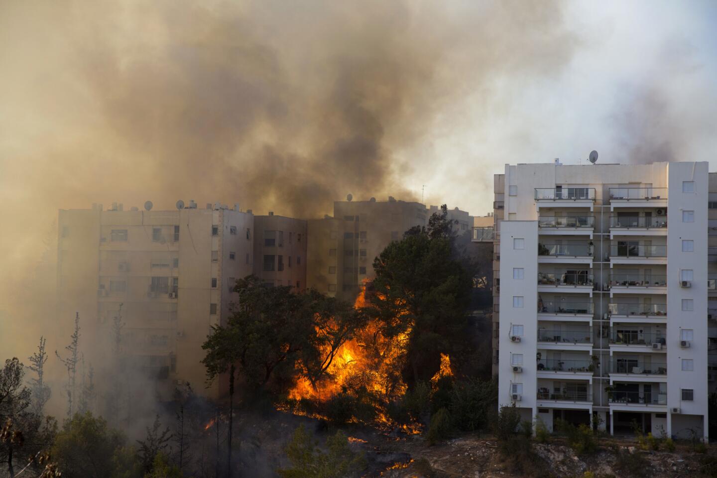 Israel wildfires