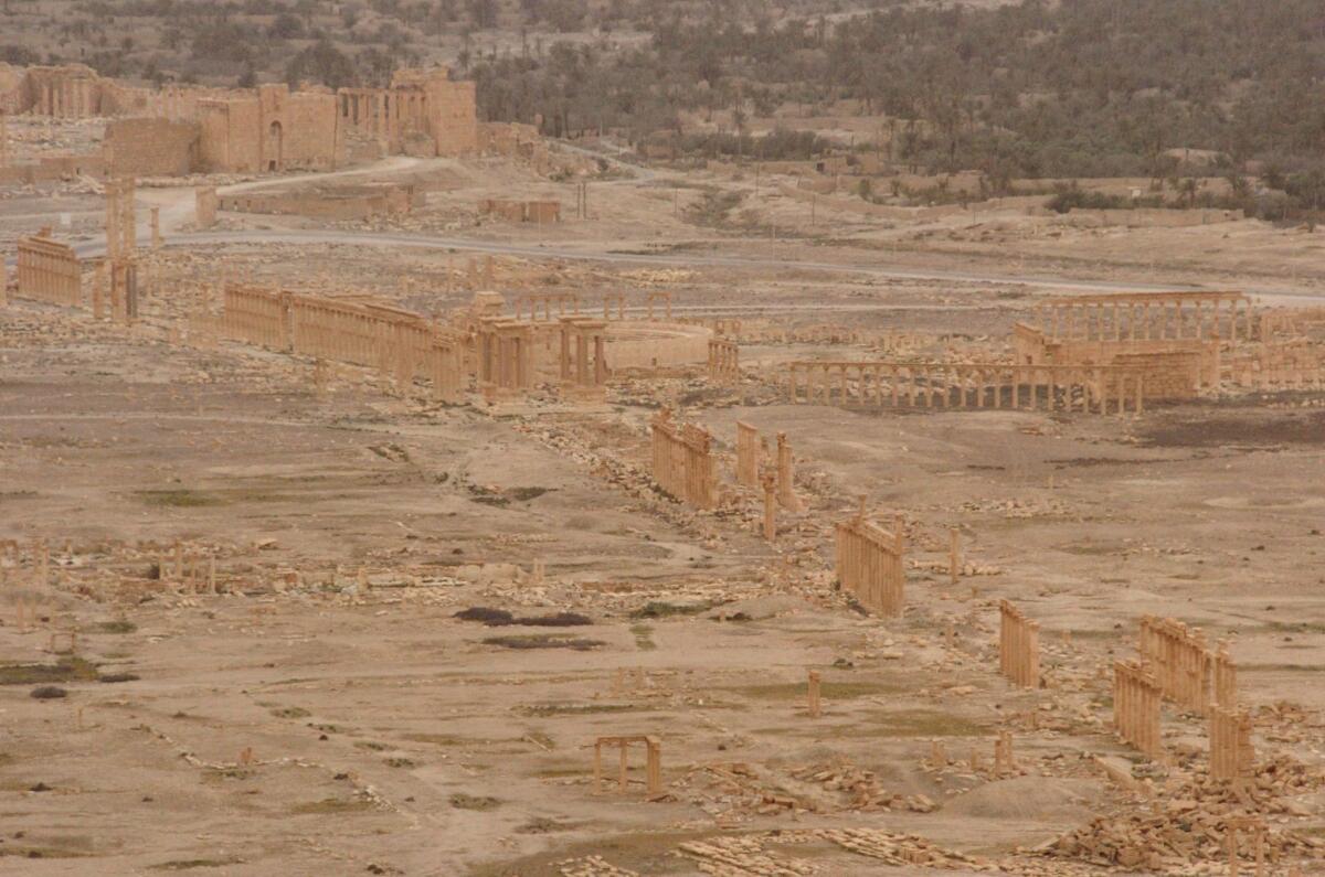 Taken March 26, 2016, this photograph shows the ancient oasis city of Palmyra, northeast of the Syrian capital Damascus, during a military operation by pro-government forces to retake the grounds from Islamic State.