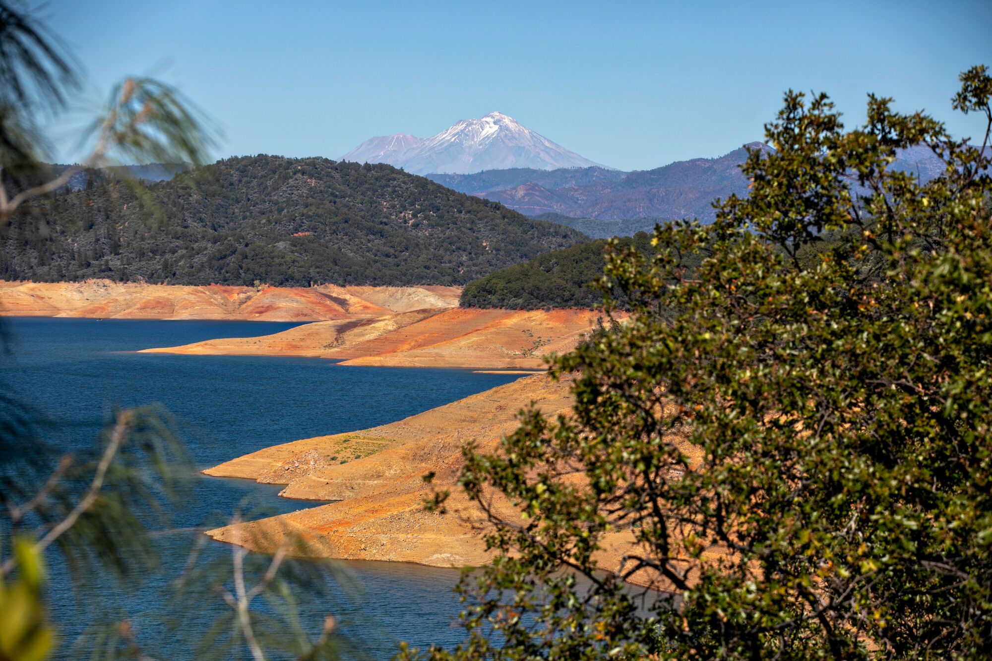 Le recul des eaux d'un lac laisse un rivage nu et brun.