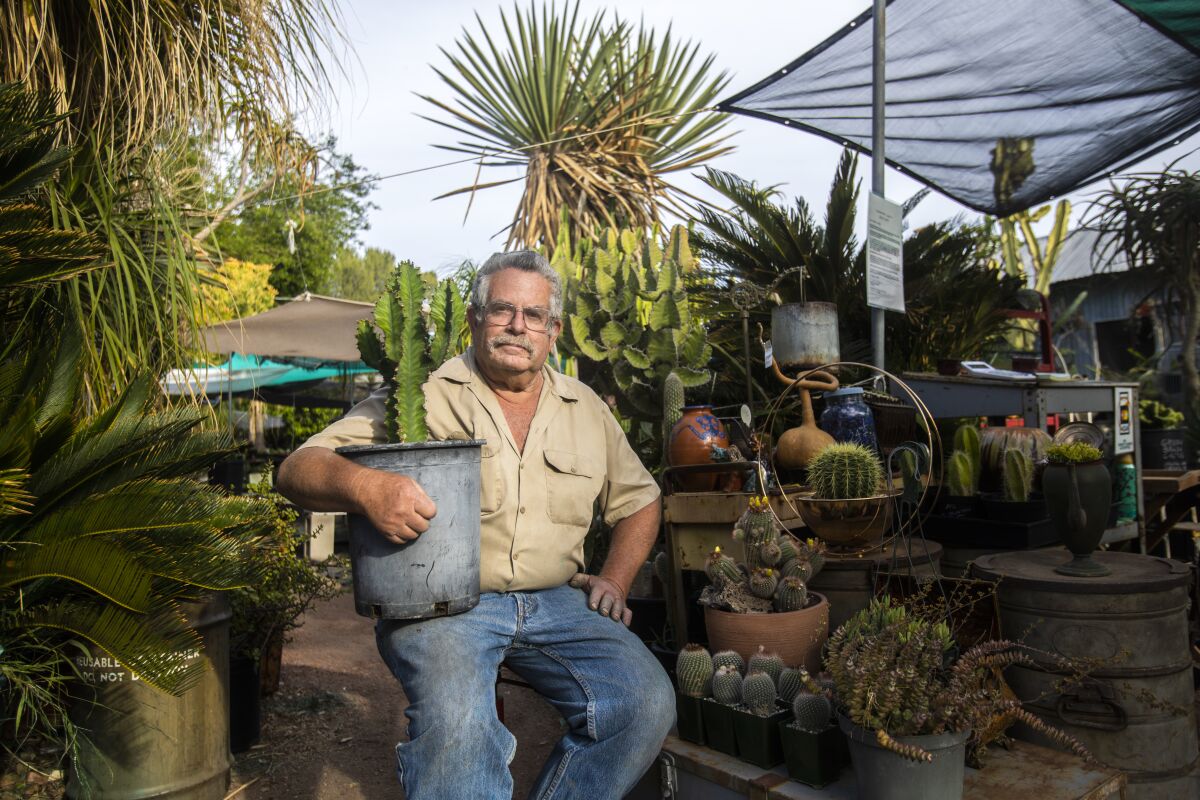 a man wearing glasses sits with a potted cactus on his lap, surrounded by small cacti
