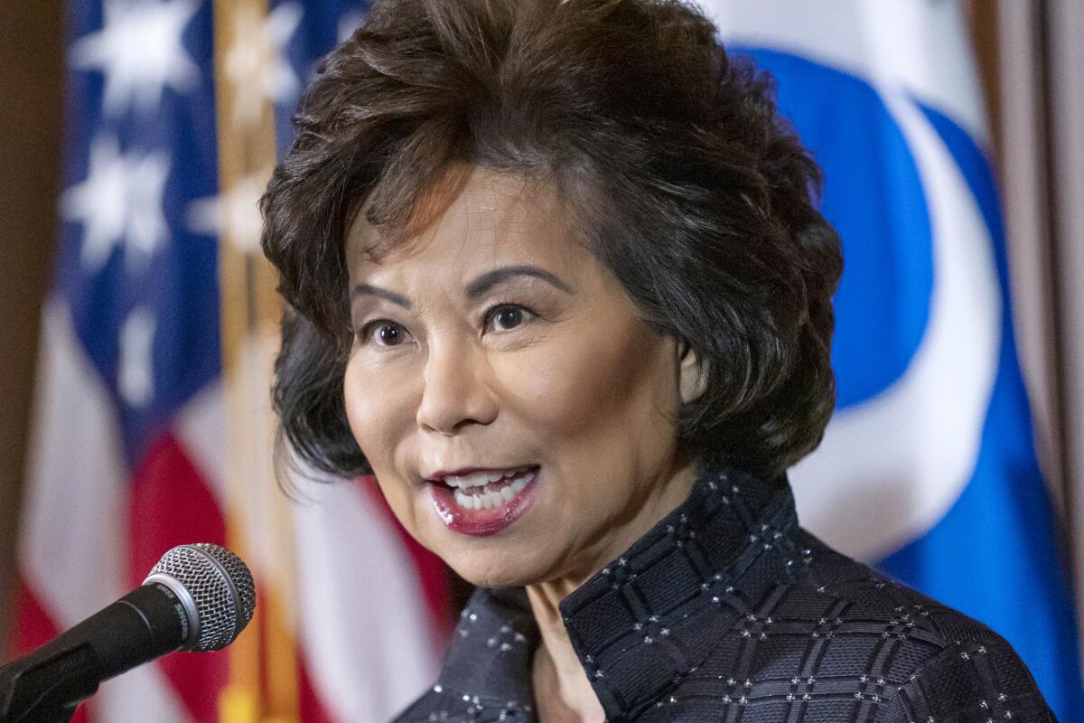 Elaine Chao speaks before a microphone 