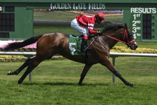 BERKELEY, CA - SEPTEMBER 2: River Rose, with Pedro Terrero up, win the 1st Race.