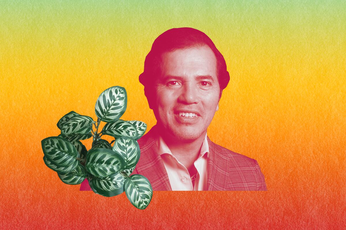 John Leguizamo photoillustration with leaves and flowers on colorful background 