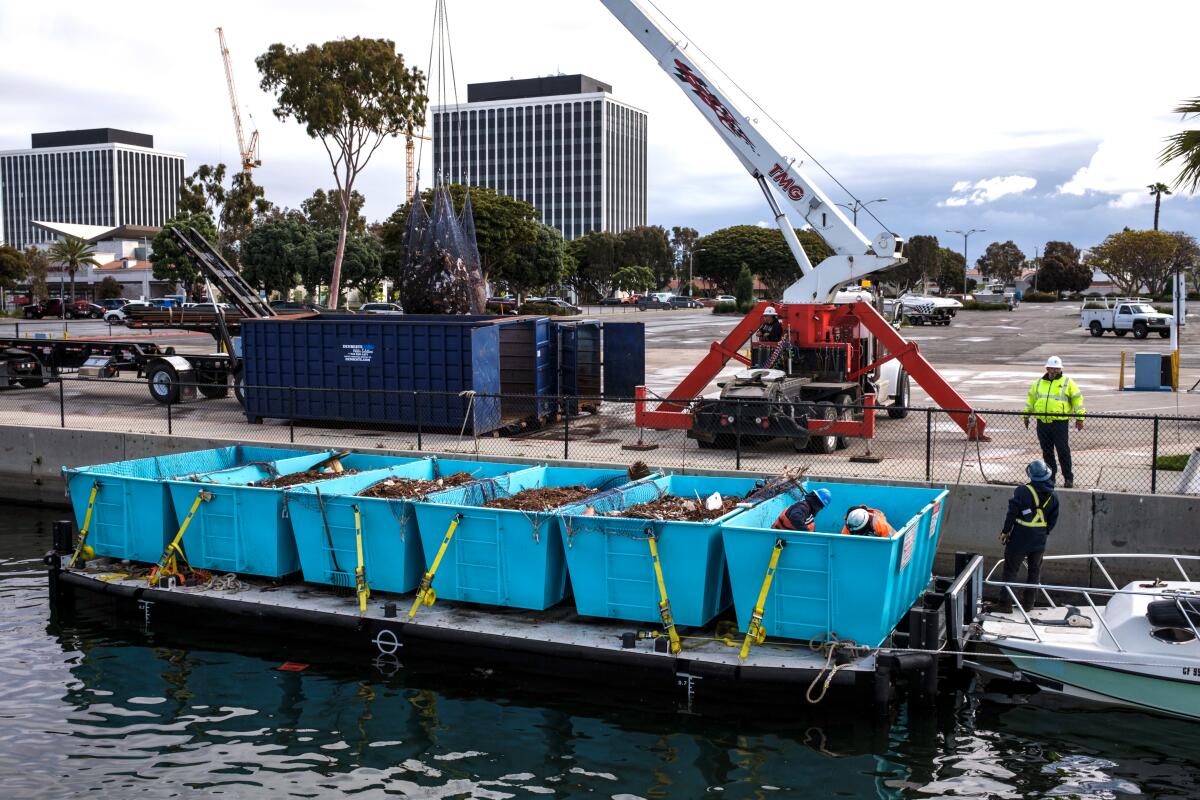 Crews use a crane to remove nets of debris from the dumpsters.