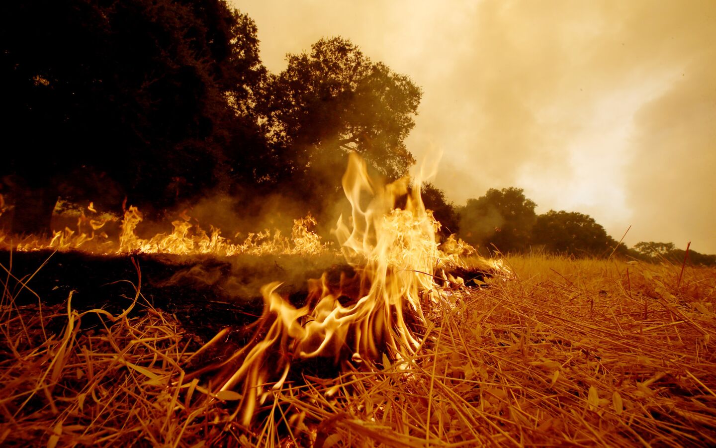 A hot spot burns ahead of the Alamo fire near Santa Maria.