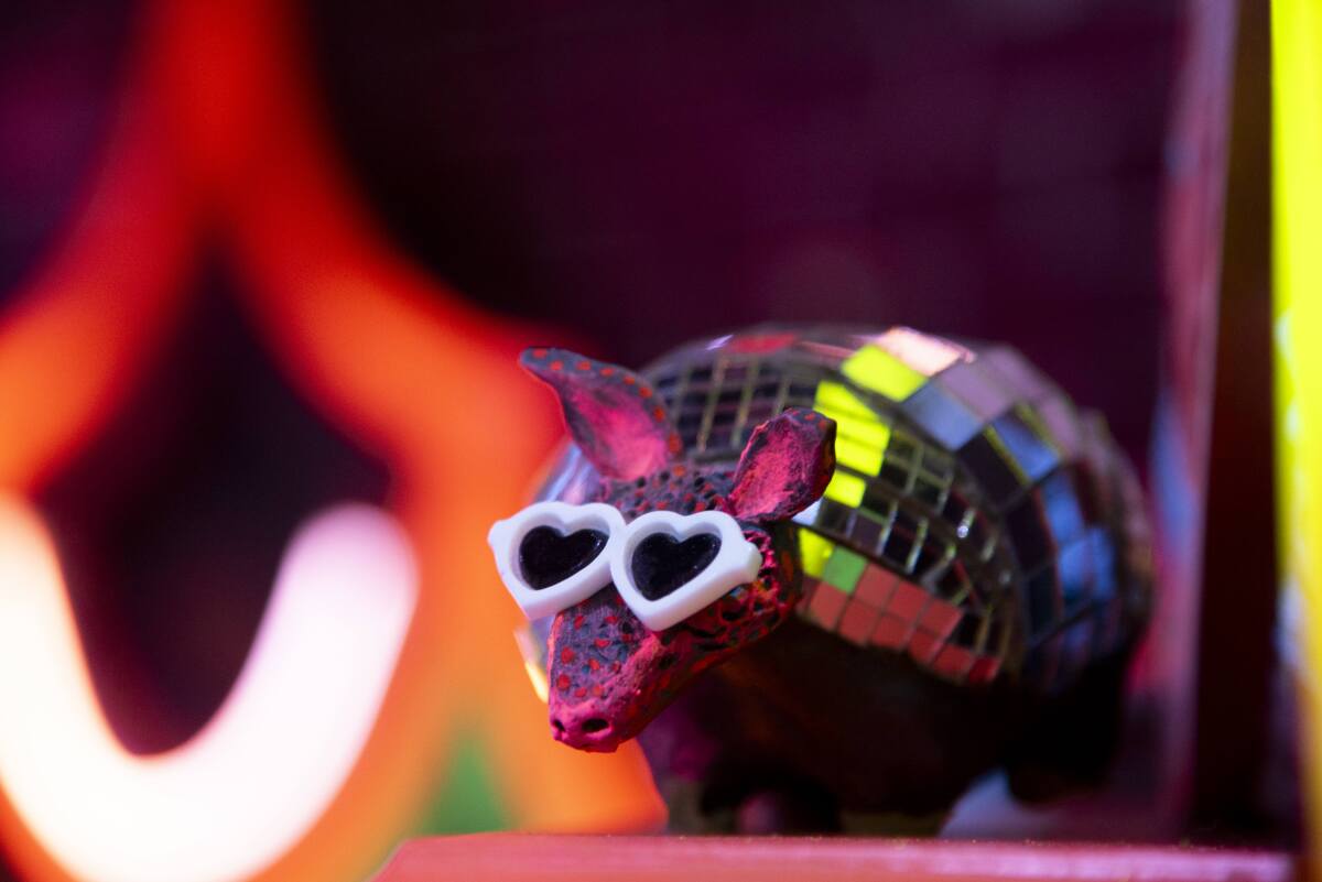 A disco armadillo wears white heart-shaped sunglasses.