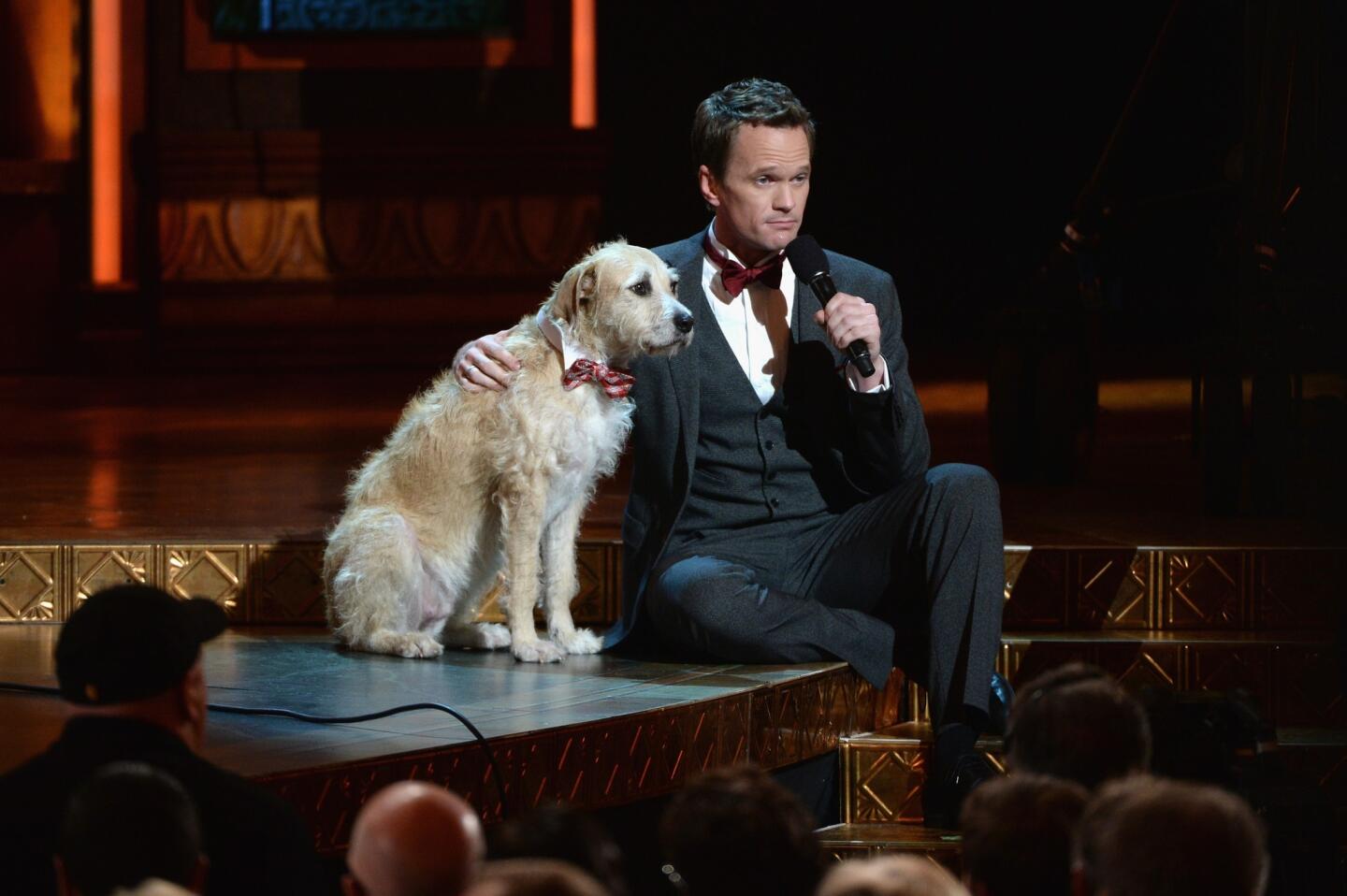 Tony Awards | 2013