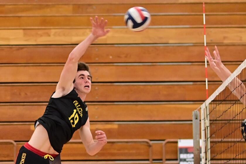 Torrey Pines star Christian Connell discovered volleyball while on the beach in Puerto Vallarta.