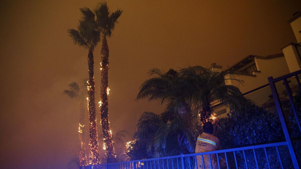 Flames climb up palm tree trunks outside a Malibu home during the Woolsey fire in November 2018.