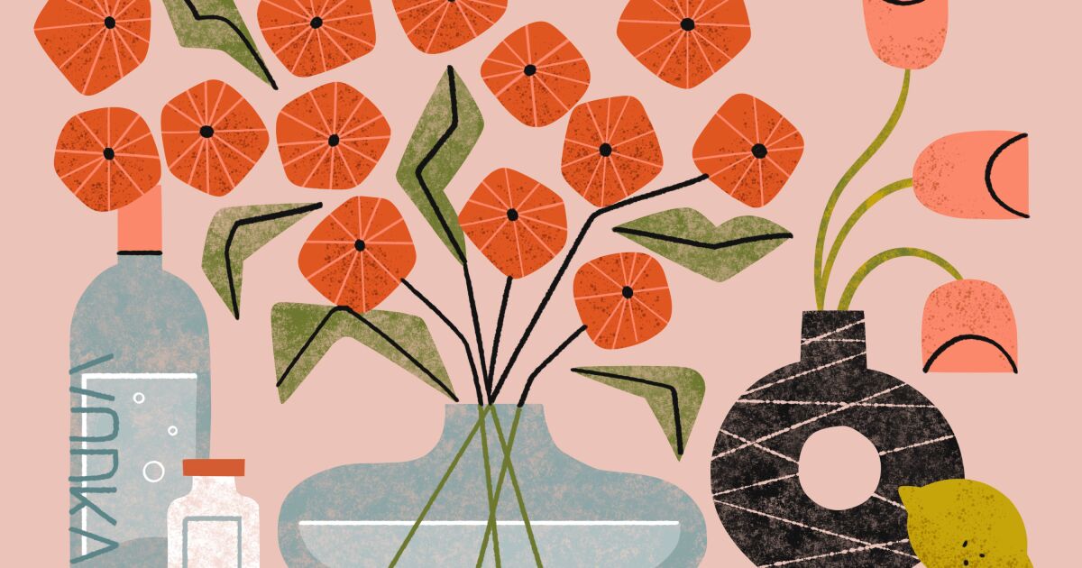 What do Trader Joe’s flowers really need to stay alive? (Hint: Not the latest TikTok hack)