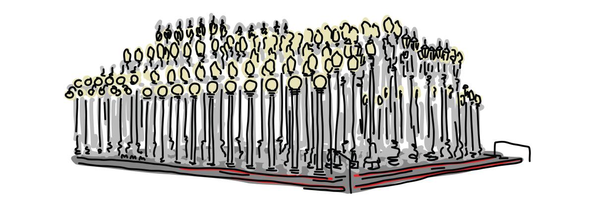 Illustration of Chris Burden's "Urban Light" installation at LACMA.