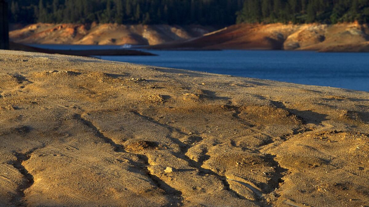 Dry ruts in a island reveal where the water level used to be at Lake Shasta due to serious drought conditions. Lake Shasta is at 31% of capacity due to the ongoing drought and is likely to get worse.
