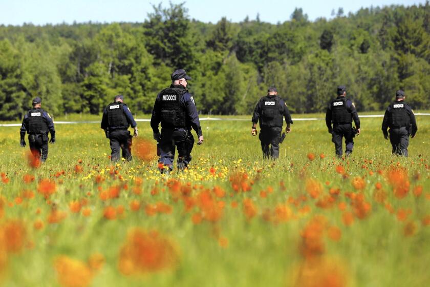Law enforcement officers walk a field in Saranac, N.Y., searching for two escaped prisoners who remain at large after more than a week.