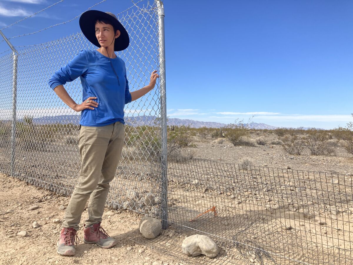A woman in a hat stands next to a barbed-wire fence in desert terrain.