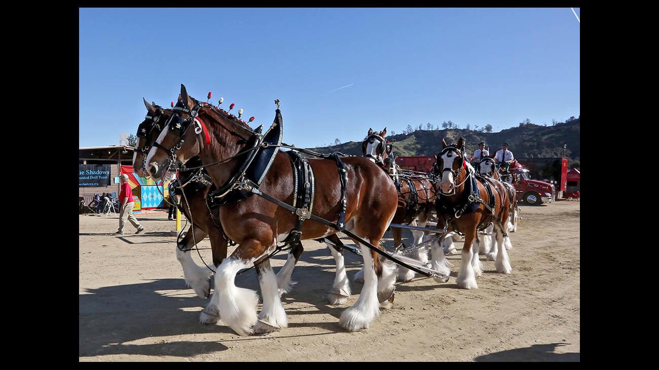 Photo Gallery: 29th annual Equestfest held at L.A. Equestrian Center in Burbank