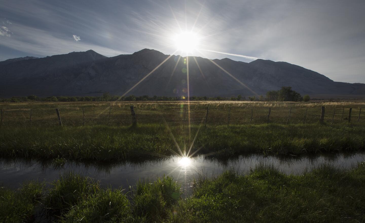 Drought in the Owens Valley