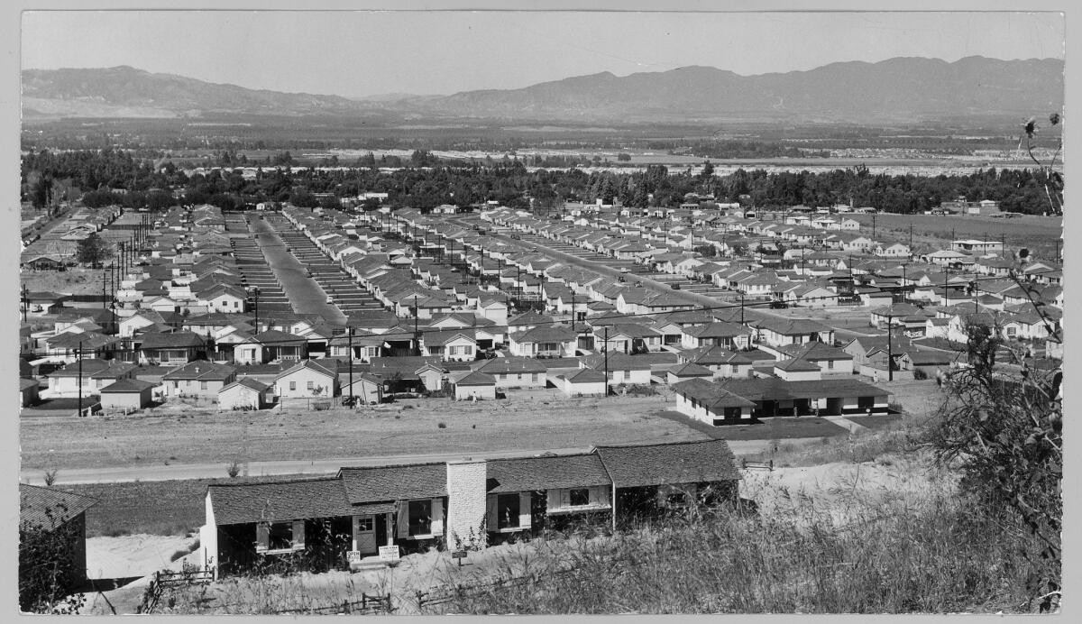 Tract homes line the streets of Encino in 1950. (Associated Press)