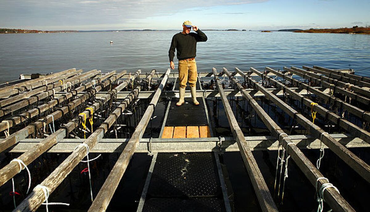 Paul Dobbins is co-owner of Ocean Approved, what is believed to be the nation's only kelp farm.