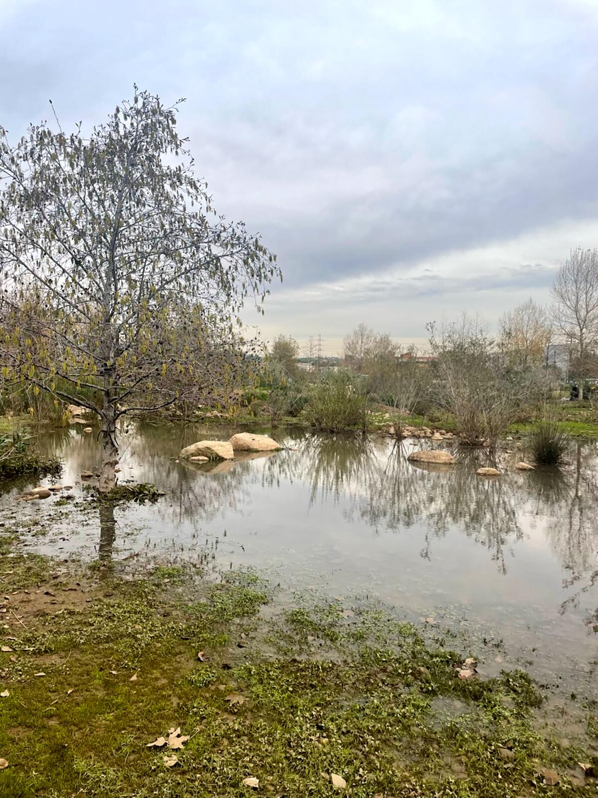 Los Angeles State Historic Park