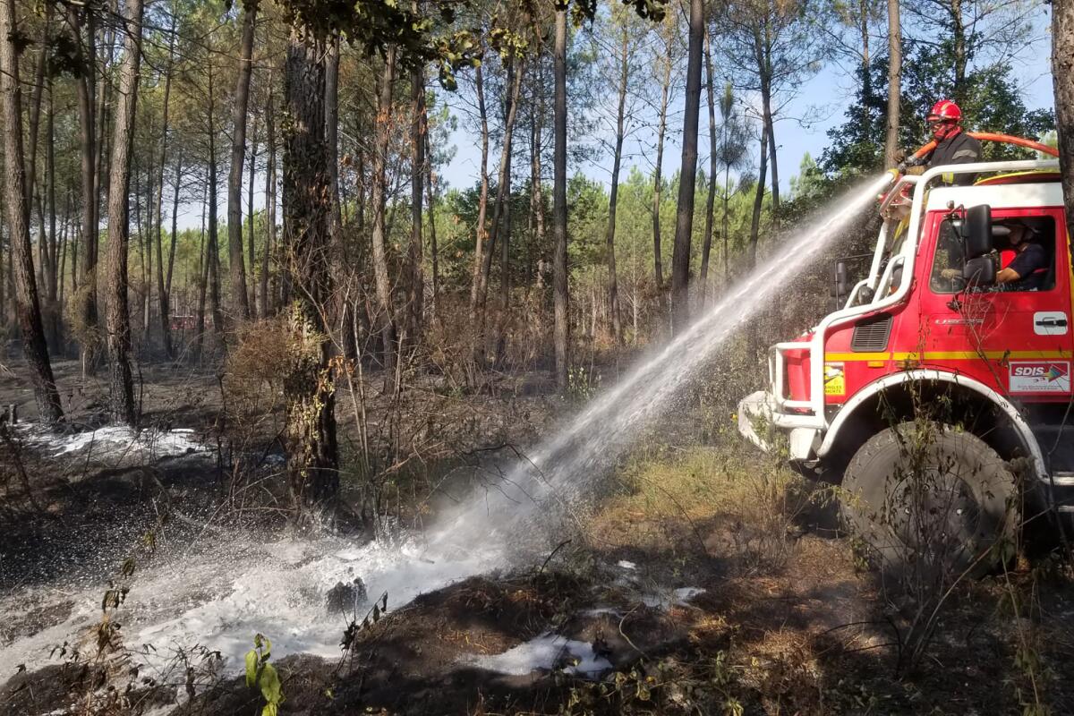 This photo provided by the SDIS33 fire brigade shows firemen watering embers in a forest near Saumos, southwestern France, Thursday, Sept.15, 2022. A major wildfire that ravaged forests in southwestern France stopped spreading Thursday, according to local authorities. The prefecture of the Gironde region said the wildfire has burned more than 37 square kilometers (14 square miles) since Monday, leading to the evacuation of 1,840 people. (SDIS33 via AP)