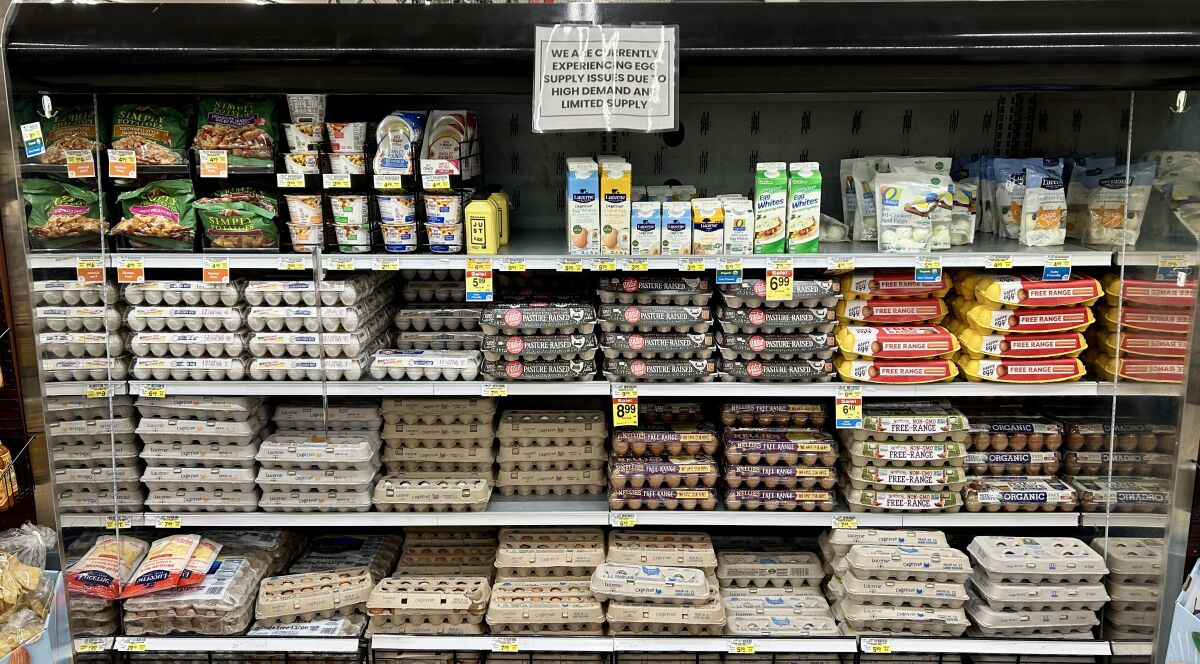Cartons of eggs in a grocery store