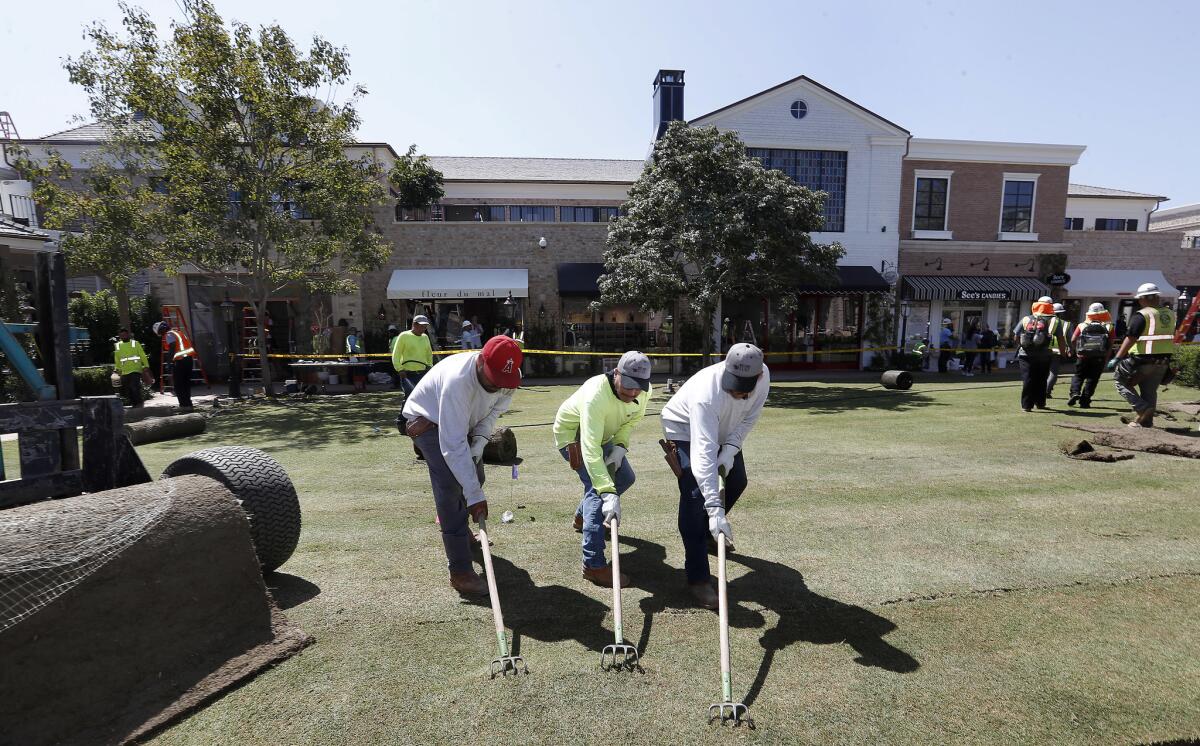 Oscar Ojeda, Adolfo Camacho and Juventino Martinez, from left, position rolls of sod on the grounds of Palisades Village in Pacific Palisades.