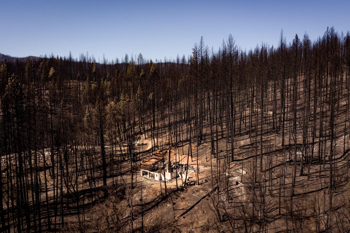 An aerial picture taken on Sept. 24, 2021 shows a burned home among burnt trees in Greenville.