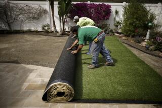 Trabajadores extienden un césped artificial después de desenterrar un césped debido a la sequía, en una casa en Laguna Niguel en 2015. Foto de Lucy Nicholson, Reuters