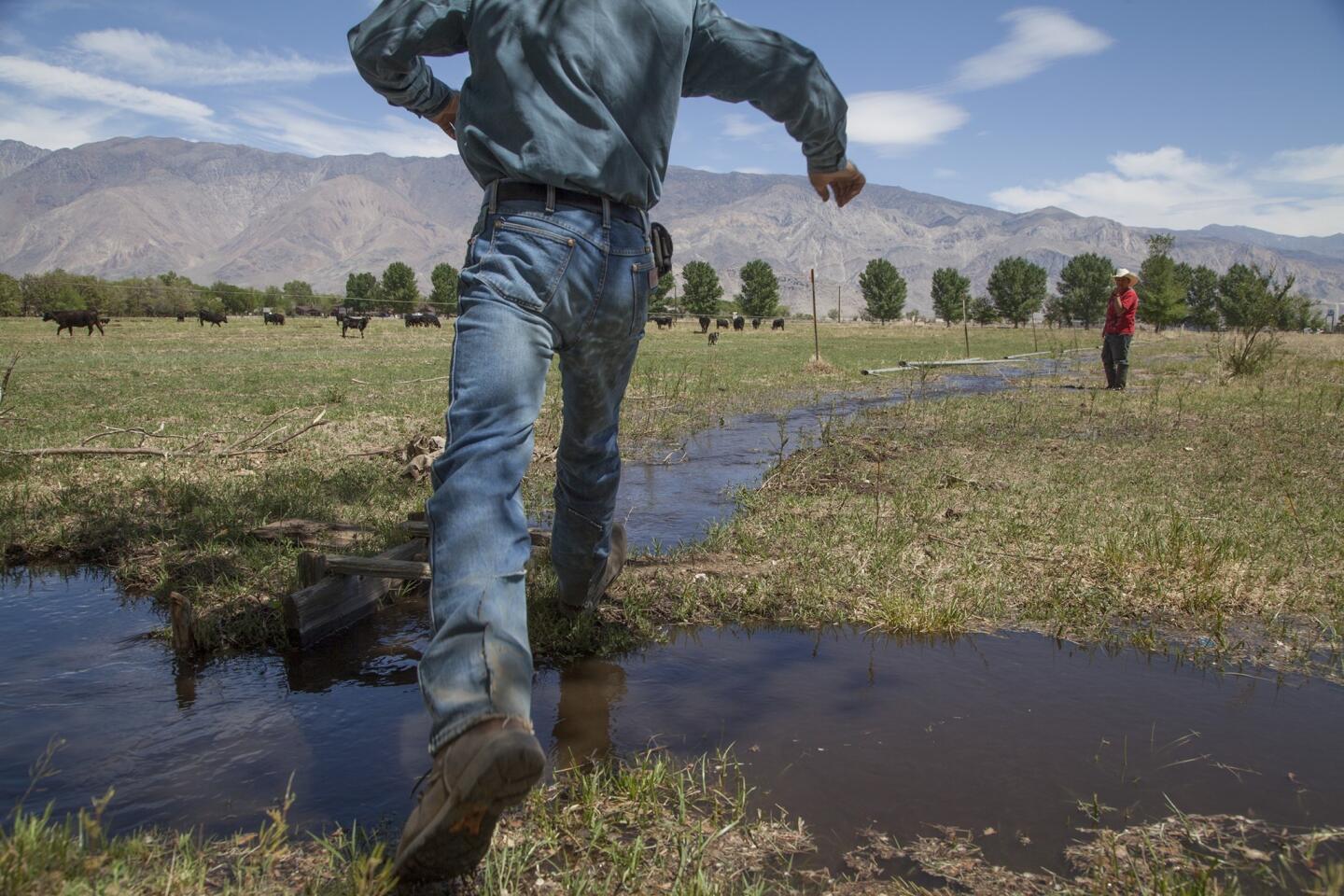 Rancher Tom Noland leaps Tuttle Creek, which irrigates a field of Spainhower-Anchor Ranch near Lone Pine. In the distance is Fernando Rodriguez, 12. Noland, past president of the Inyo, Mono and Alpine Cattlemen's Assn., worries that the Los Angeles Department of Water and Power's proposed solar plant would lead to industrialization of the Eastern Sierra.