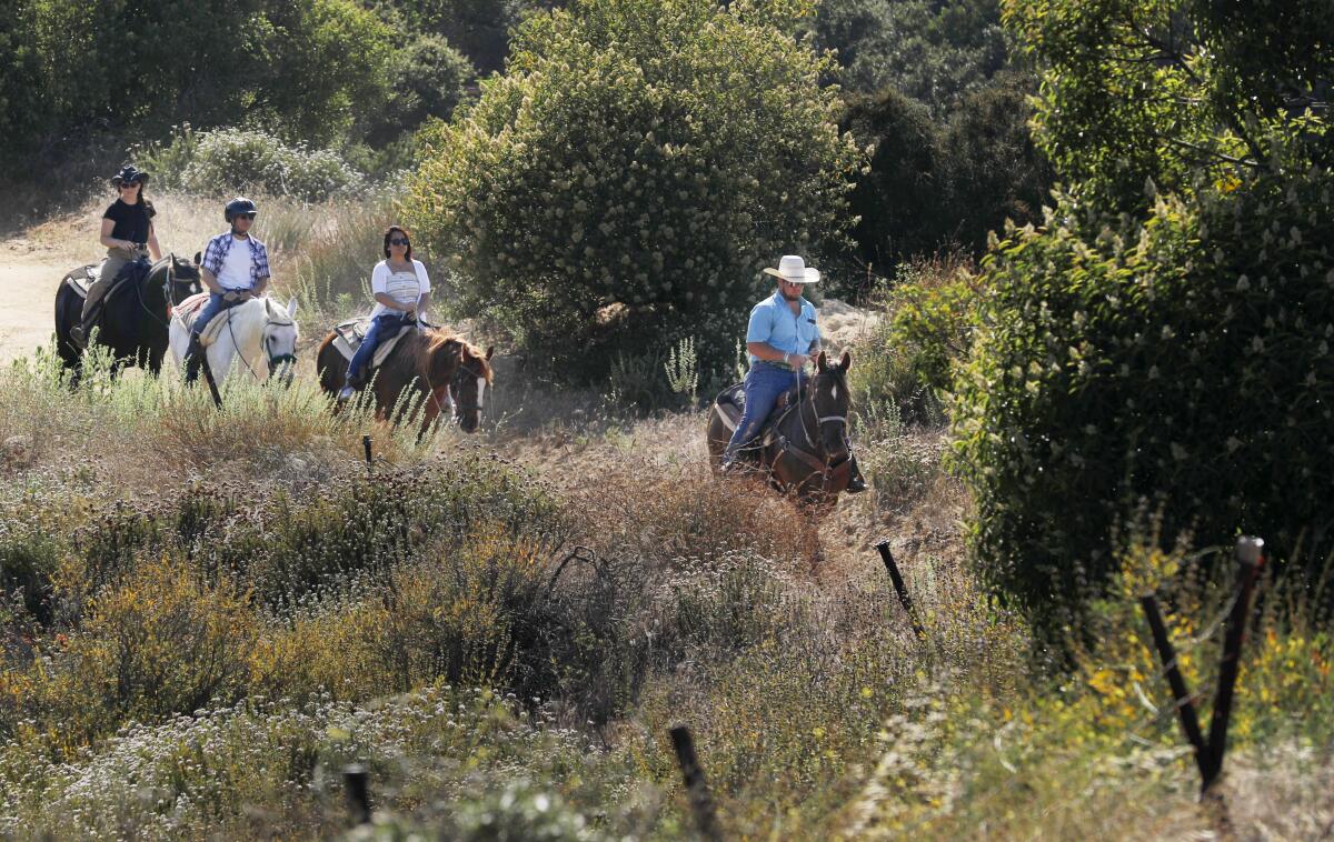 Head trail guide Cole Wade leads riders near the Los Angeles Horseback Riding ranch in Topanga Canyon in July 2019. 