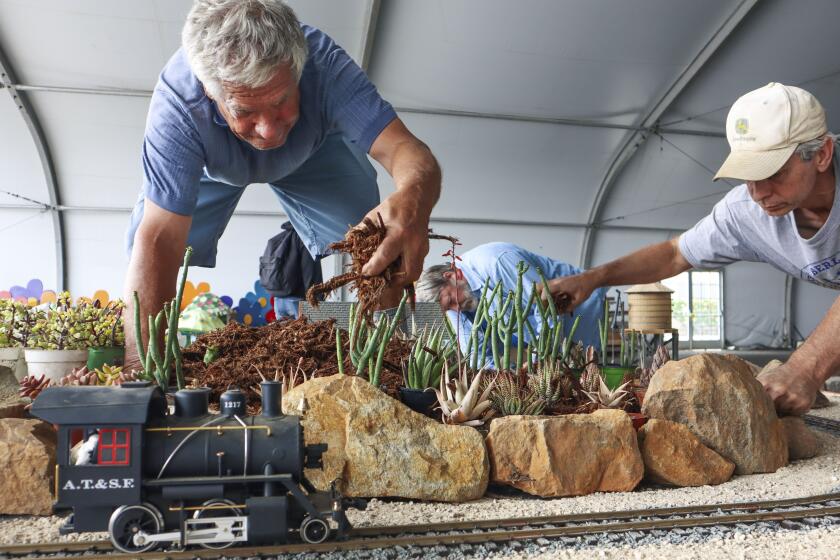 Claude Mueller, Middle, Greg Ogrod and Andy Kann, from the San Diego Garden Railway Society, sets up a train track landscape display for the HomeGrownFun at the Del Mar Fairgrounds on Thursday, June 3, 2021 in Del Mar. HomeGrownFun, a scaled-down event that can accommodate up to 10,000 visitors a day, compared to the usual 50,000 to 75,000 the fair attracts during a regular summer run. A smaller version of the fair -- with food and vendor booths, exhibits, a couple rides, local concert acts and piglet races.(Photo by Sandy Huffaker for The San Diego Union-Tribune)