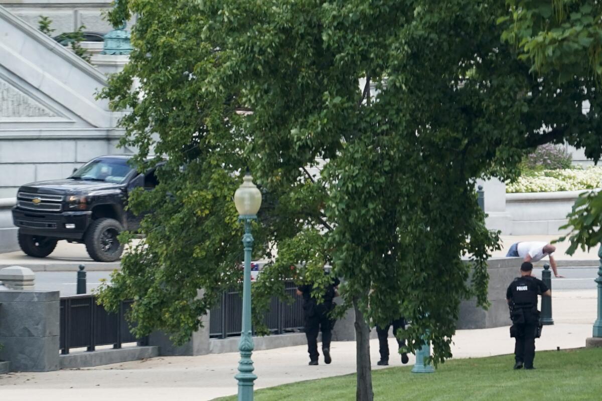 A tree partially obstructs the view of a truck and people in uniform.