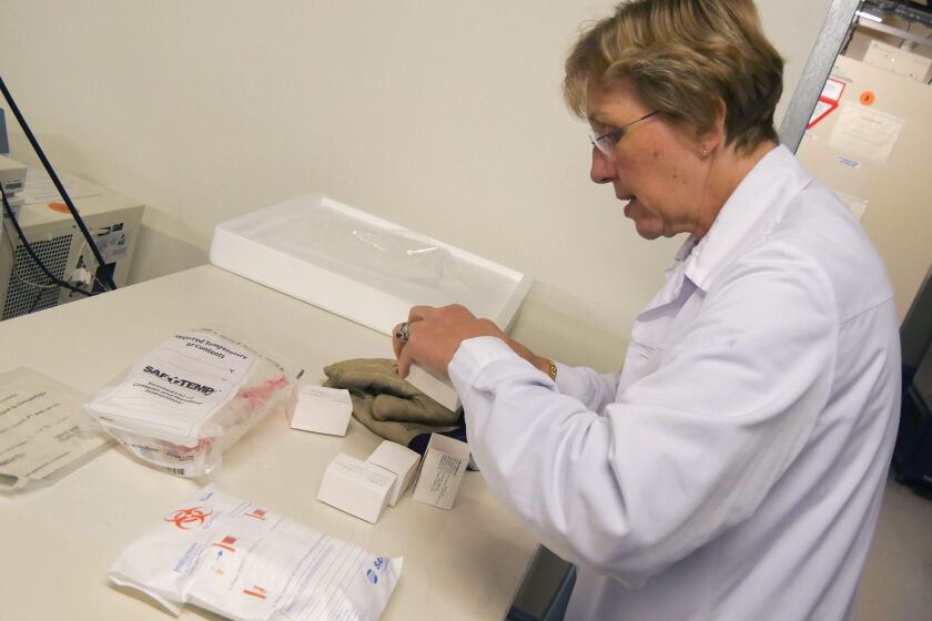 A World Health Organization staff member examines a shipment of the VSV-EBOV vaccine. Although human trials have just started, Canada has already shipped 800 vials of the experimental drug to the United Nations health agency.