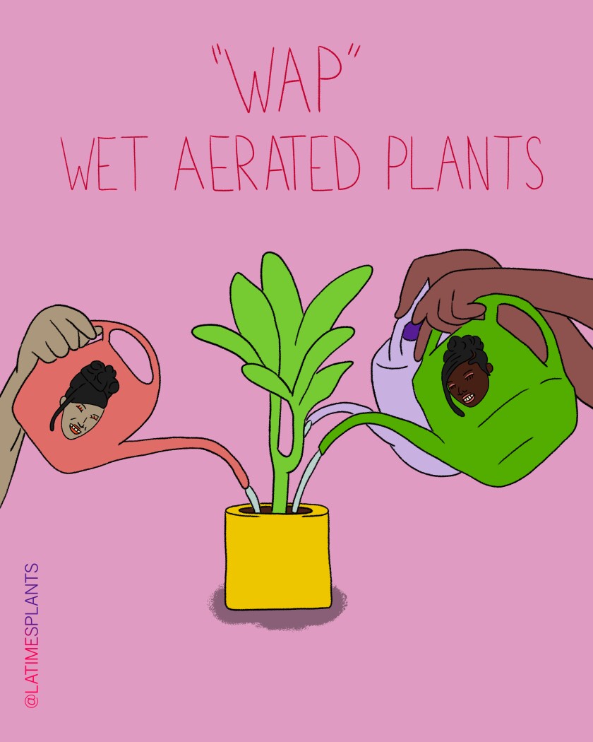 25 Best Plant Memes Of Los Angeles Times