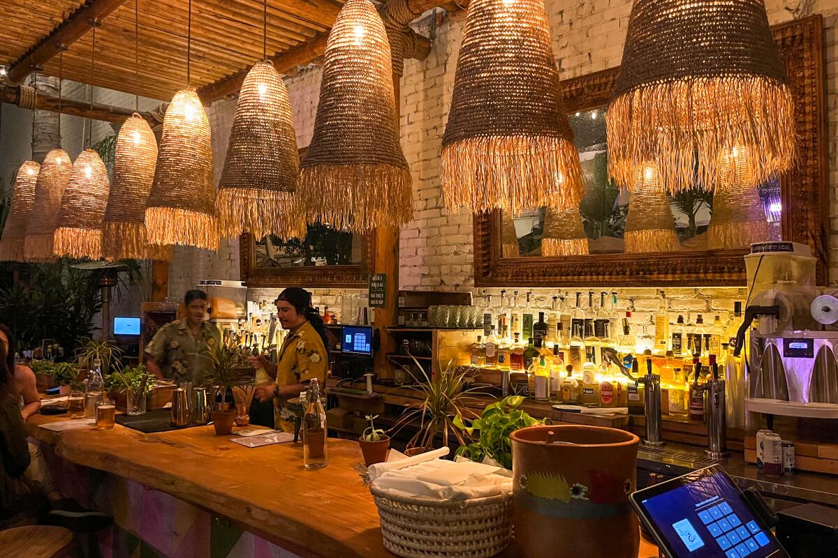 De Buena Planta's bar area under numerous hanging woven-straw lights