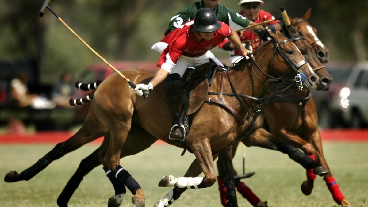 They've got a passion for polo - The San Diego Union-Tribune