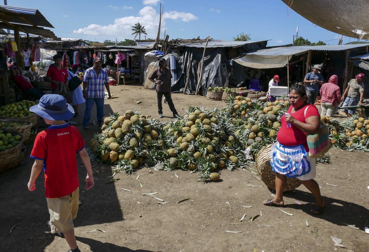 Liam searches for a way past pineapple vendors in Masaya Market. (Katie Quirk)