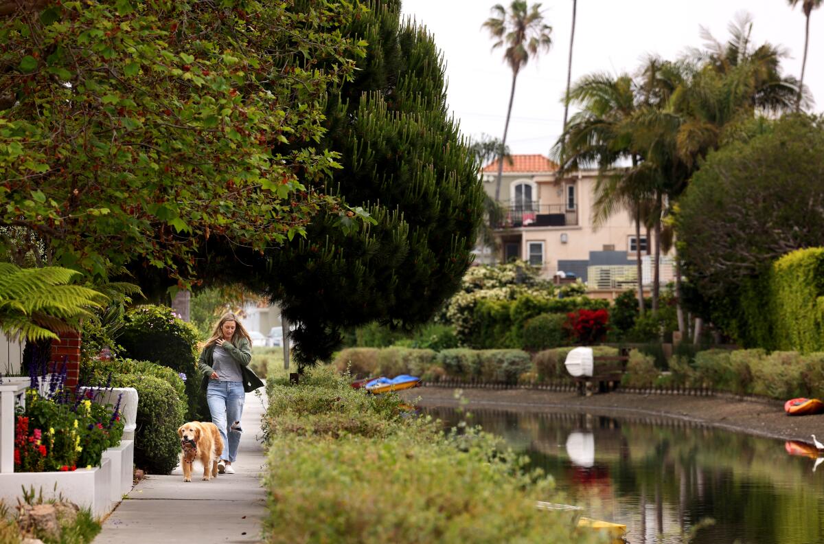 A pedestrian and dog stroll through the Venice Canals.