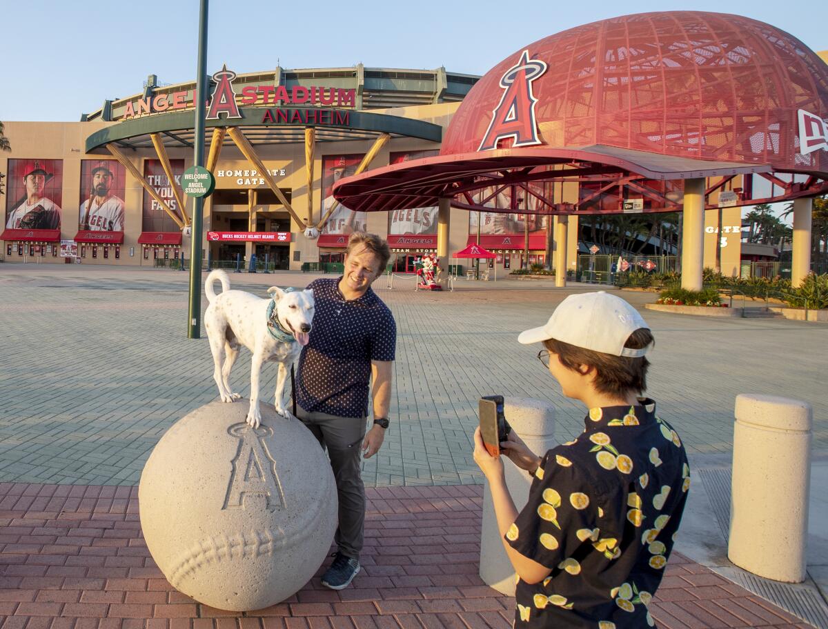 Angels fans Jason Fry and his wife, Natsumi, take photos with their dog Benny, in front of Angel Stadium on Aug. 24.