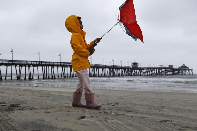 Reagan King battles the wind while out with her parents in Imperial Beach after the eye of Tropical Storm Hilary past on Sunday, August 20, 2023. The Imperial Beach Pier was closed to the public. (K.C. Alfred / The San Diego Union-Tribune)