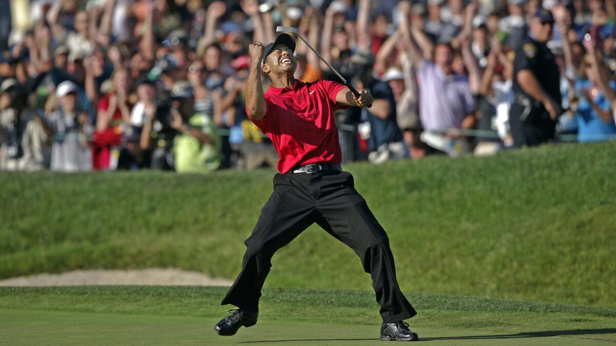 Tiger Woods raises his club in the air and pumps his fist on the golf course.