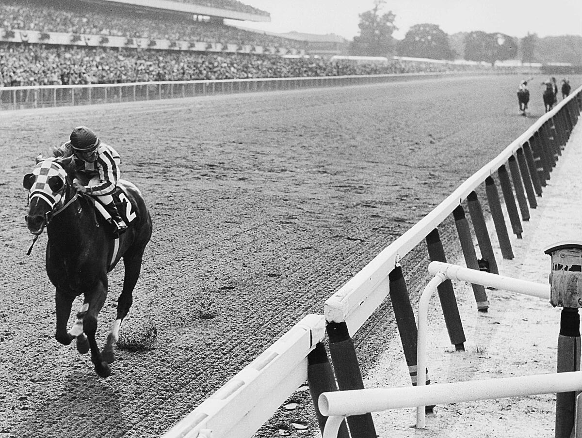 Secretariat approaches the finish line to win the 1973 Belmont Stakes by a record 31 lengths.