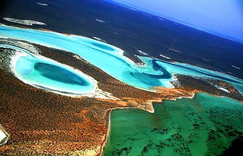 Shark Bay