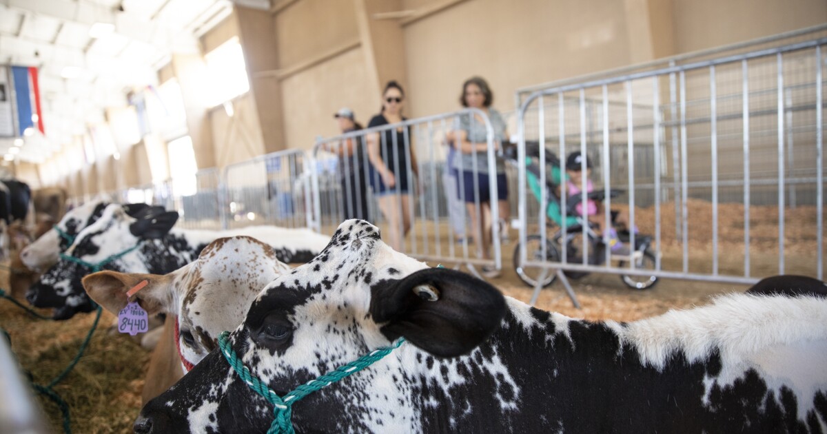It’s been 3 years since deadly E.coli hit San Diego County Fair. What’s