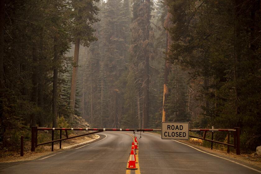 SEQUOIA NATIONAL FOREST, CA - September 17,2021: A gate is closed near the entrance to Sequoia National Park where the KNP Complex fire threatens groves of giants sequoias on Friday, Sept. 17, 2021 in Sequoia National Forest, CA. (Brian van der Brug / Los Angeles Times)