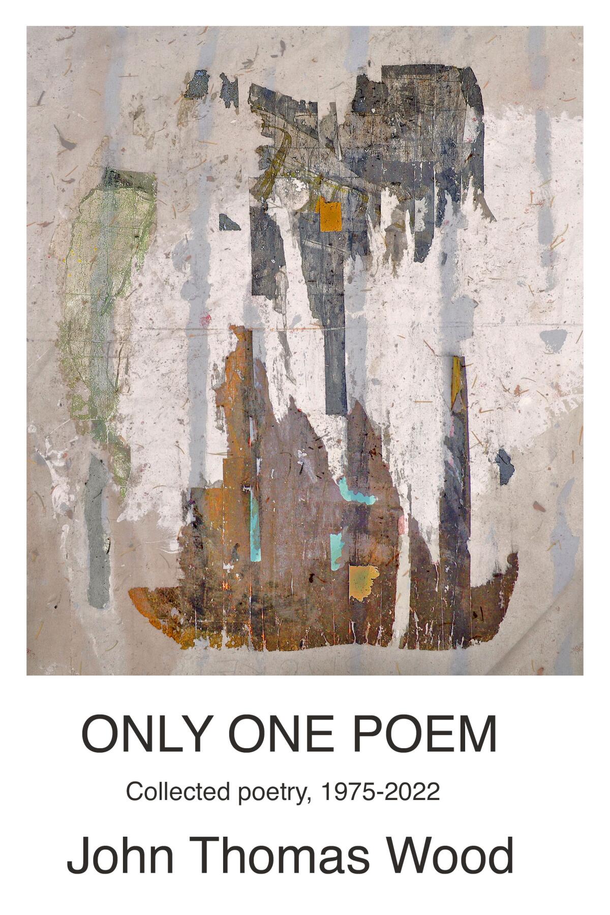 The cover of John Thomas Wood's "Only One Poem" features his photograph “The Orphan.”