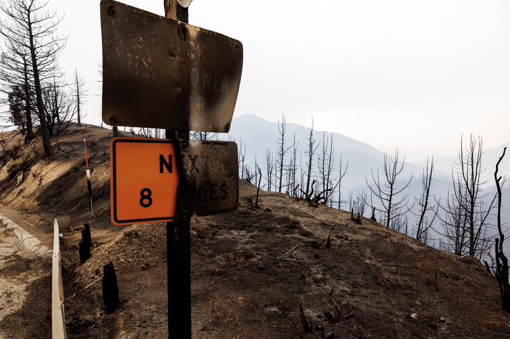 A fire-blackened road sign rises in front of a burned hillside.