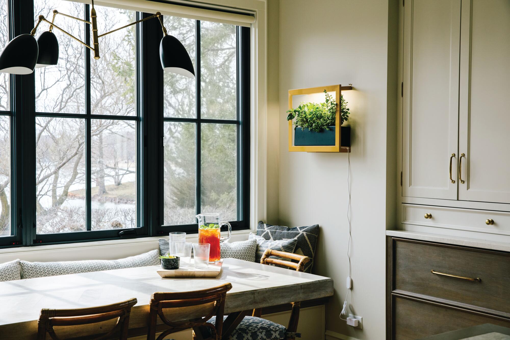 A lighted, plant-filled growframe on the wall next to a window and table.