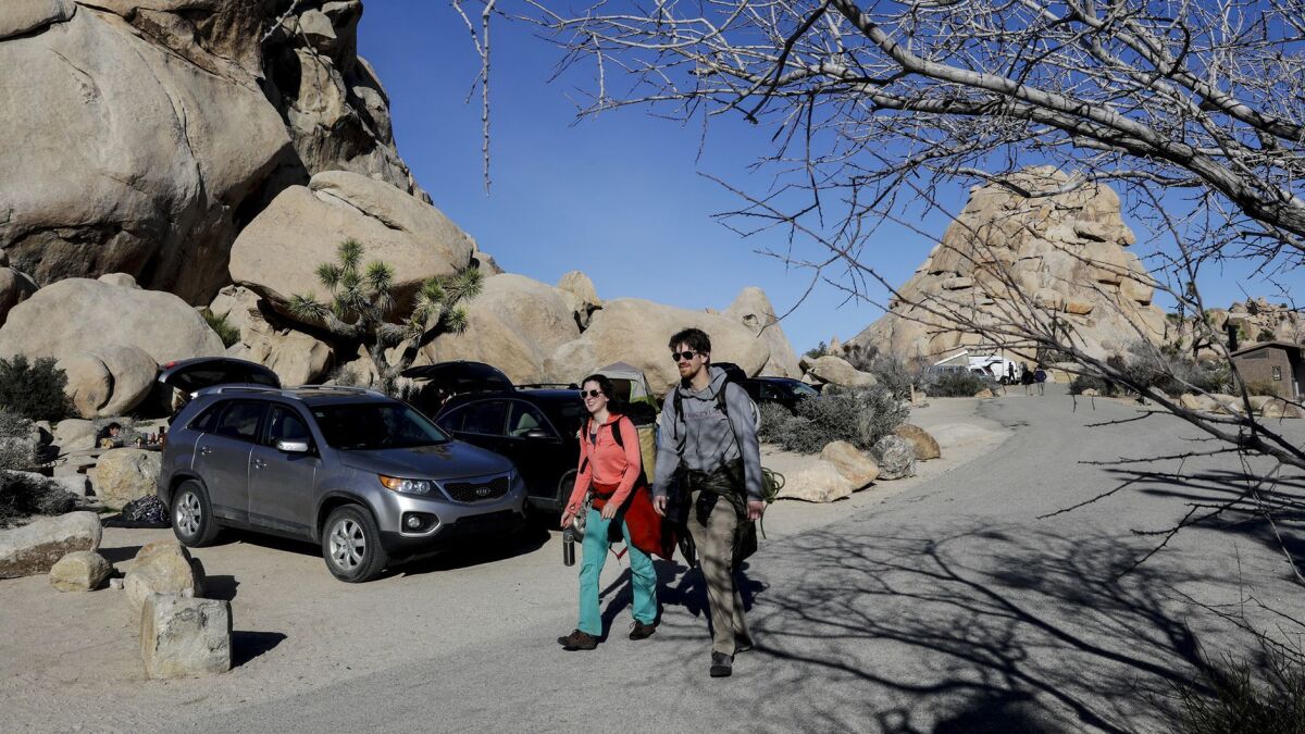 Joshua Tree National Park reopened on Saturday with the return of its rangers and crowds of nature lovers.